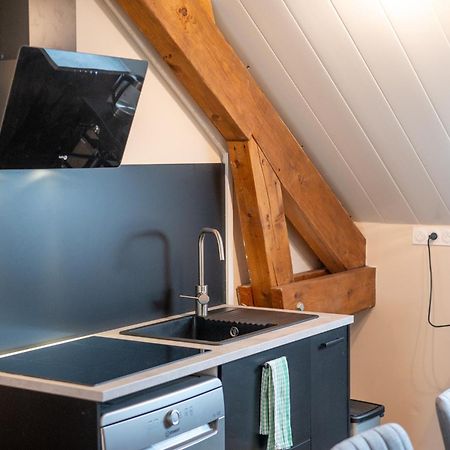 Appartement Balneo-Detente Sainte-Helene-du-Lac エクステリア 写真